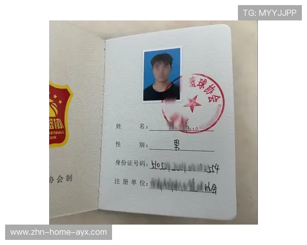 国际篮球联赛裁判视频回放系统操作培训安排，篮球裁判网站
